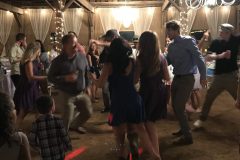 Jade-and-Rocky-Lyons-Wedding-Reception-and-Ceremony-Southern-Ties-LLC-127-1920x921