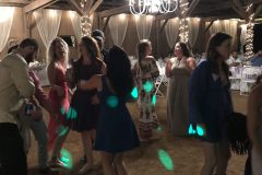 Jade-and-Rocky-Lyons-Wedding-Reception-and-Ceremony-Southern-Ties-LLC-153-1920x921